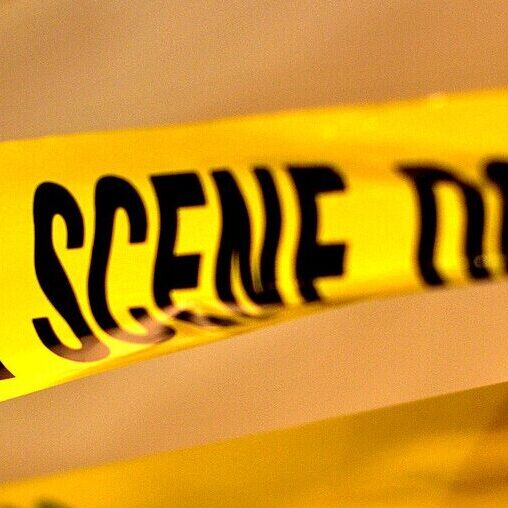 Halve crime by tackling the causes